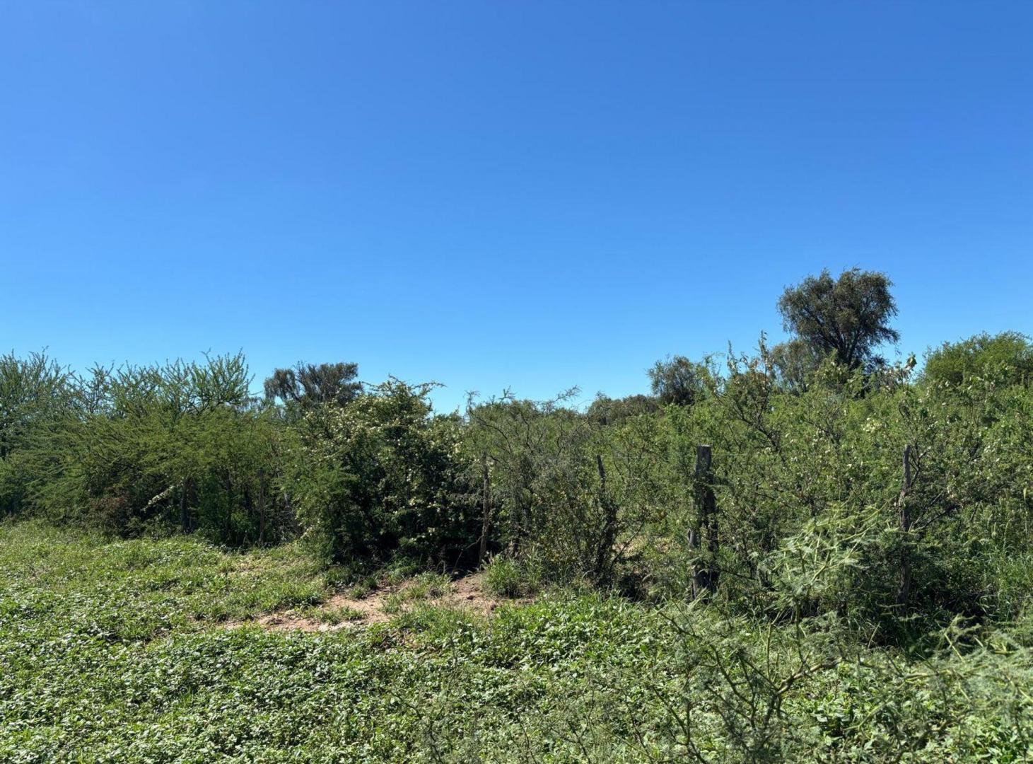 Venta Campo Ganadero 2183 hectáreas en Quilino