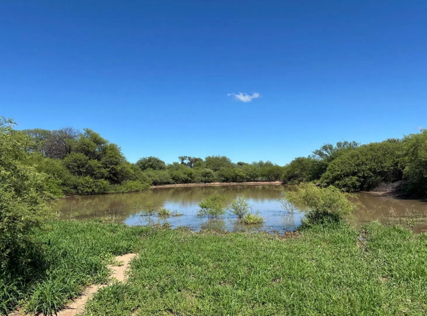 Venta Campo Ganadero 2183 hectáreas en Quilino 2
