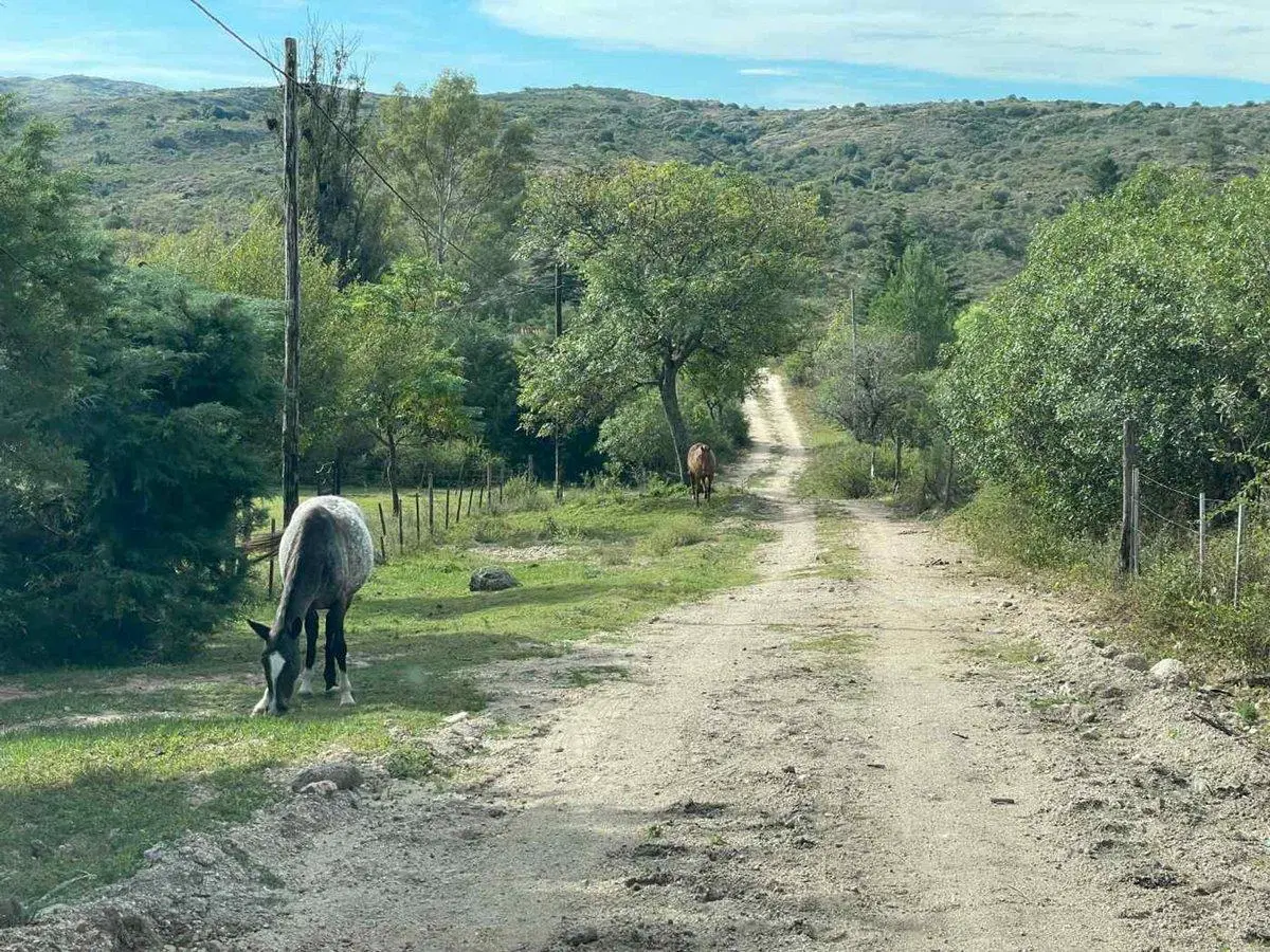 VENTA LOTES 1.900M2 EN VILLA FLOR SERRANA, TANTI 2