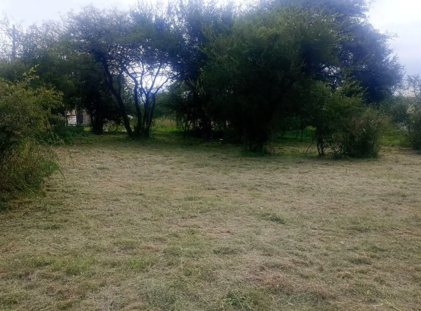 LOTE 480 M2 ANISACTE EXCELENTE UBICACION 5