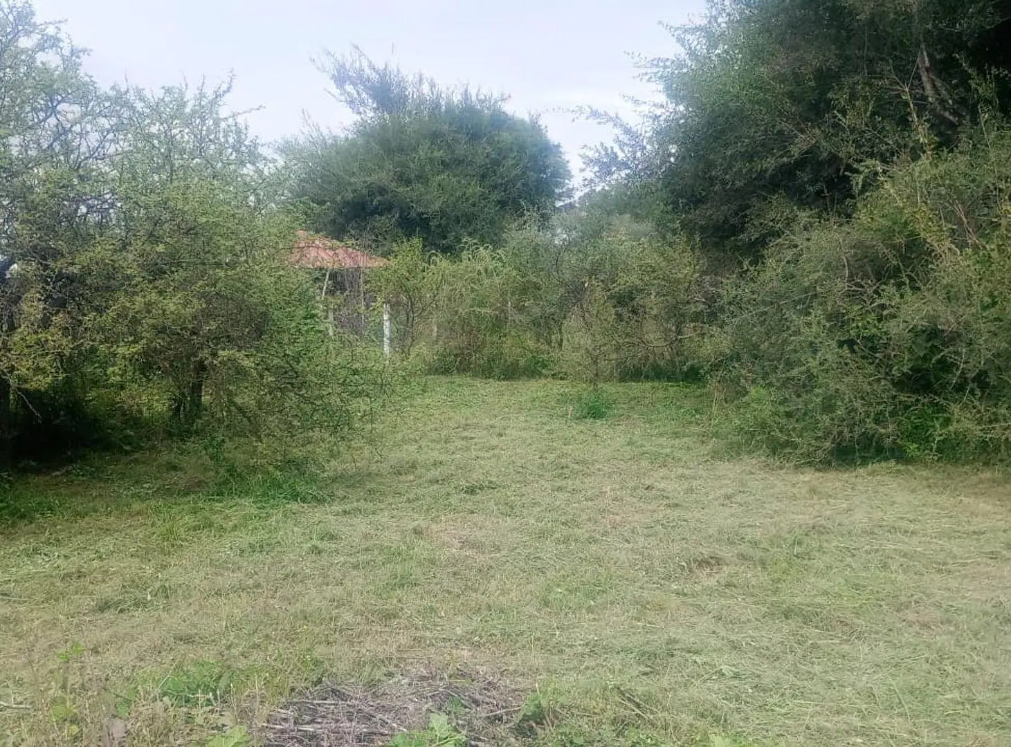 OPORTUNIDAD INVERSION 4 LOTES 480M2 C/U ANISACATE 5