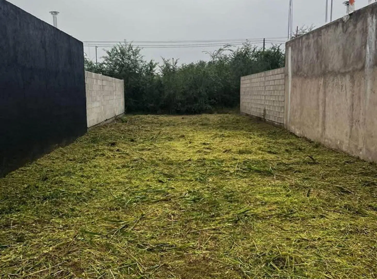 LOTE EN ARGUELLO NORTE 2