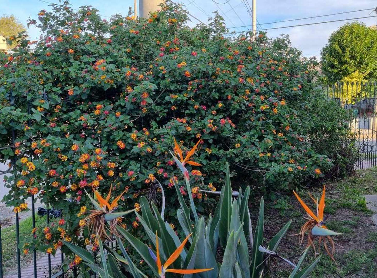 Foto de Casa 3 dormitorios en Parque República, imagen 1