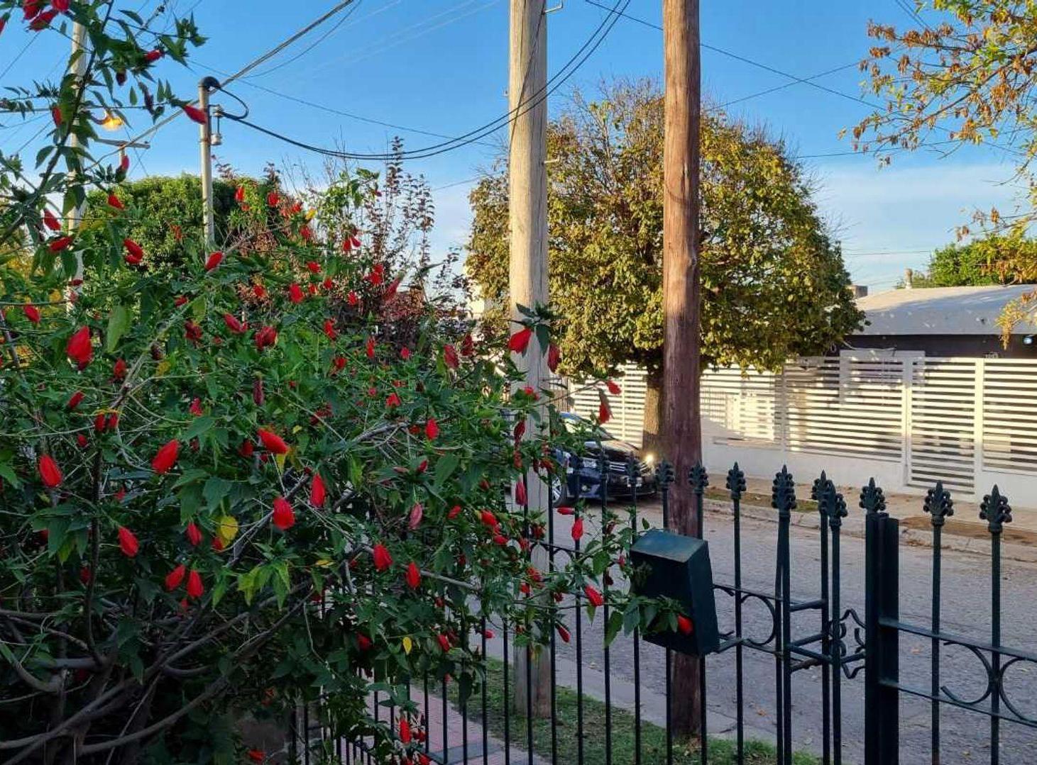Foto de Casa 3 dormitorios en Parque República, imagen 4