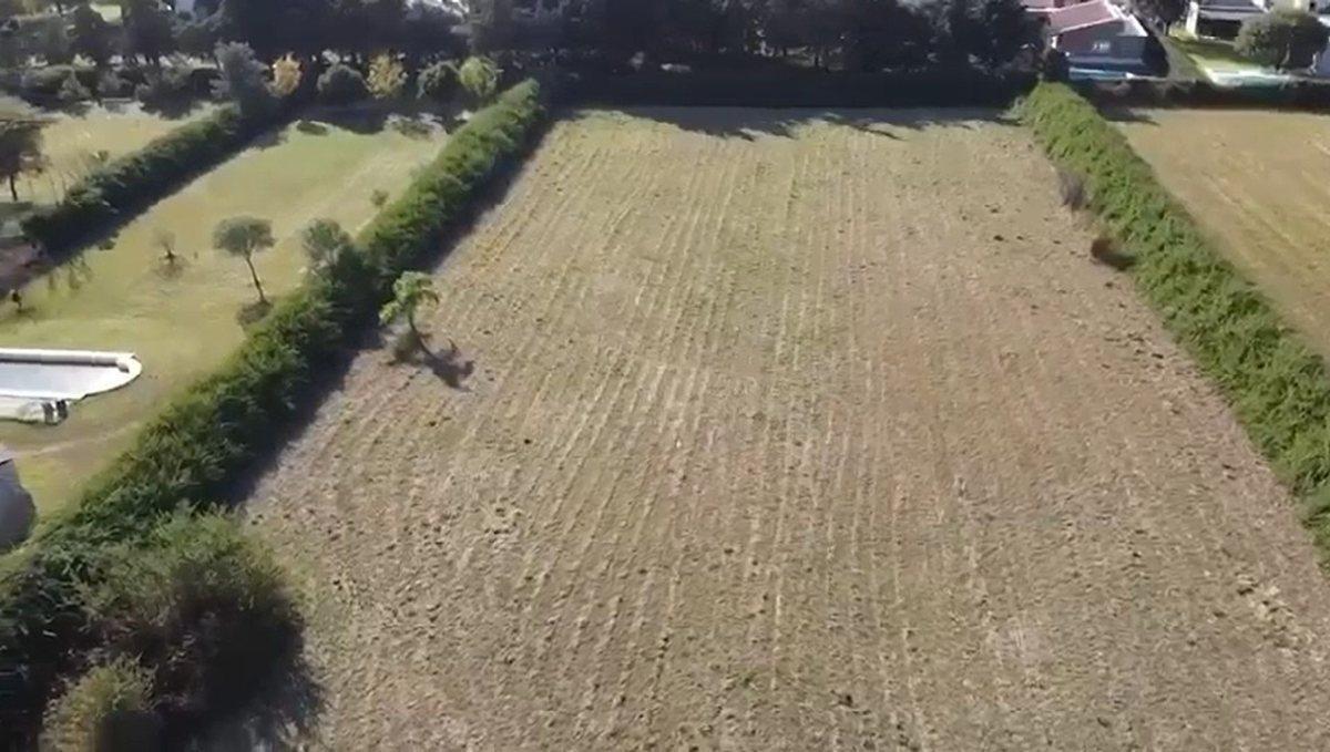 Foto de LOTE DE 2500 MTROS EN SINSACTE SAN ISIDRO, imagen 1