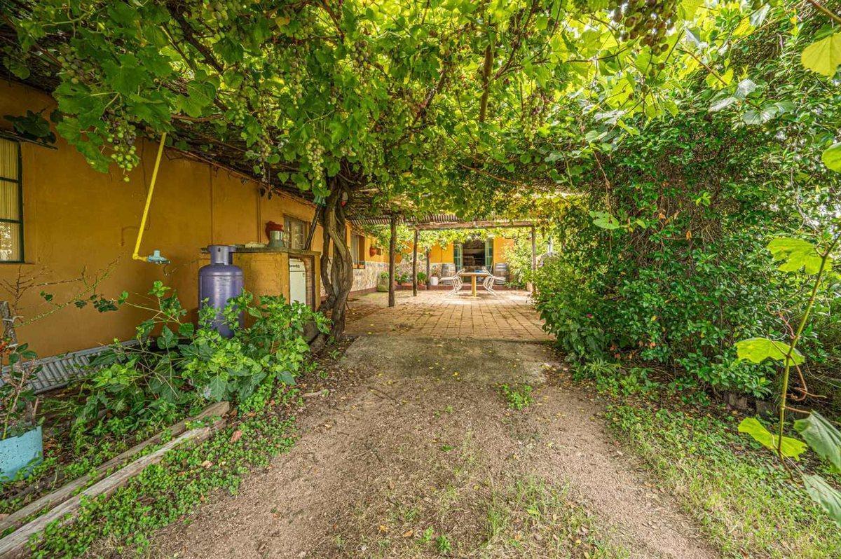 Foto de CASA BODEGA 866 M2 - VIÑEDO 11 HECTAREAS, imagen 5