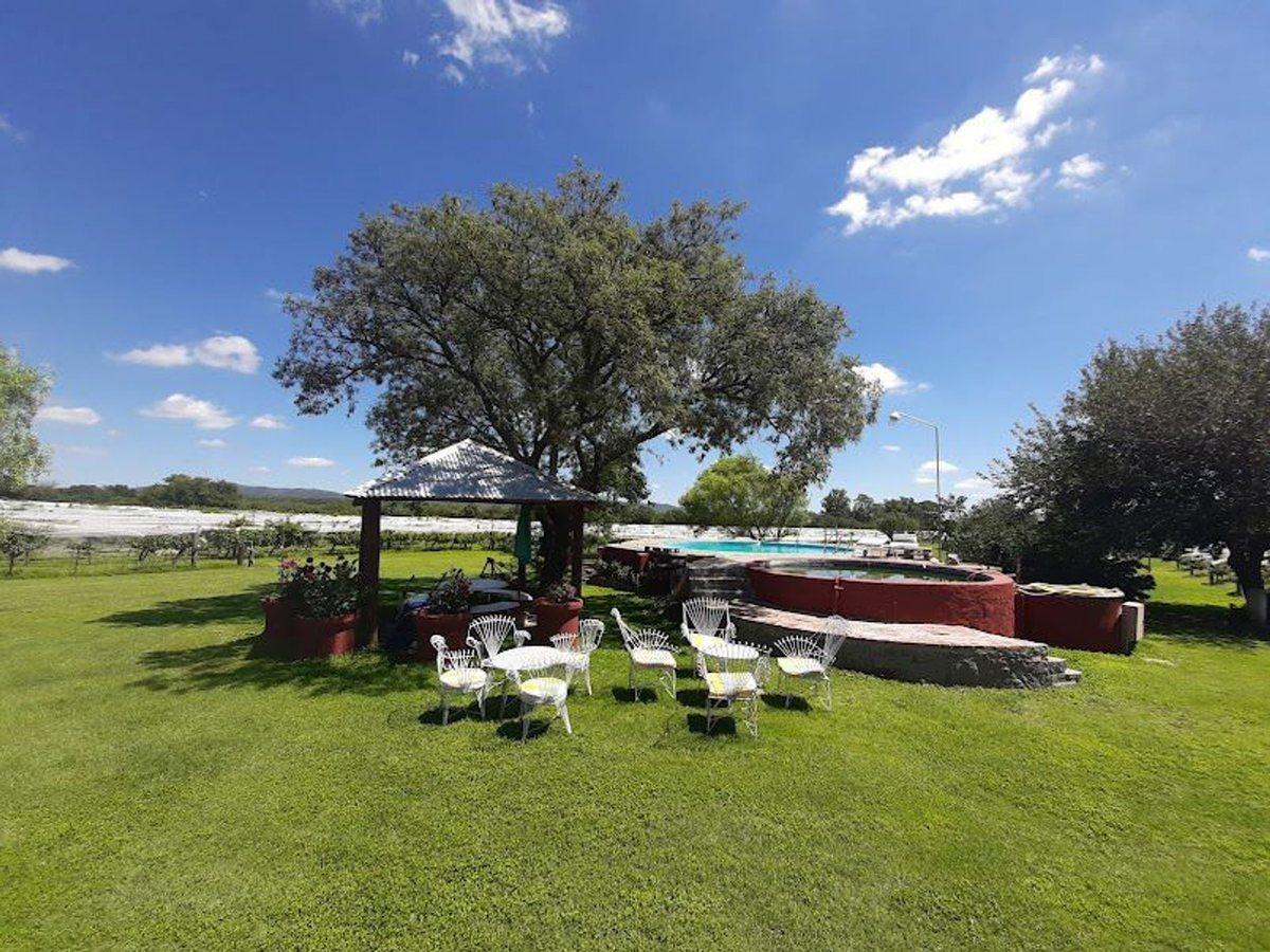 Foto de CASA BODEGA 866 M2 - VIÑEDO 11 HECTAREAS, imagen 4