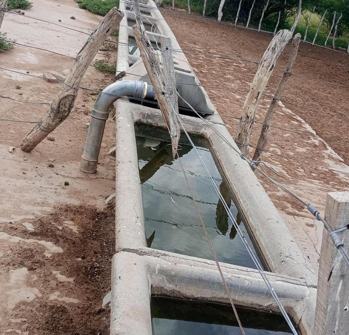 Foto de Venta Campo Ganadero 2183 hectáreas en Quilino, imagen 5