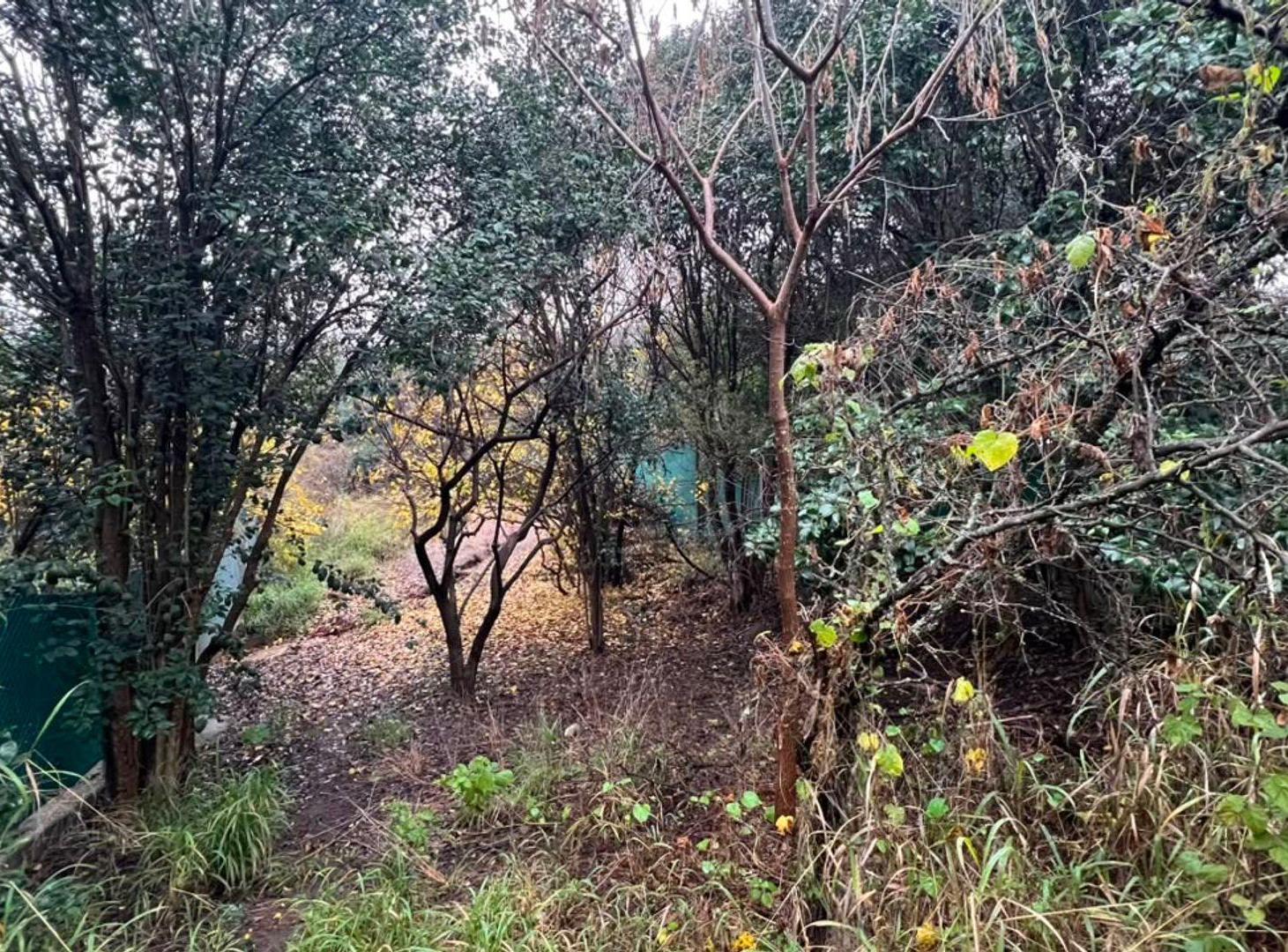 Foto de SE VENDE AMPLIO LOTE EN LA GRANJA, imagen 3