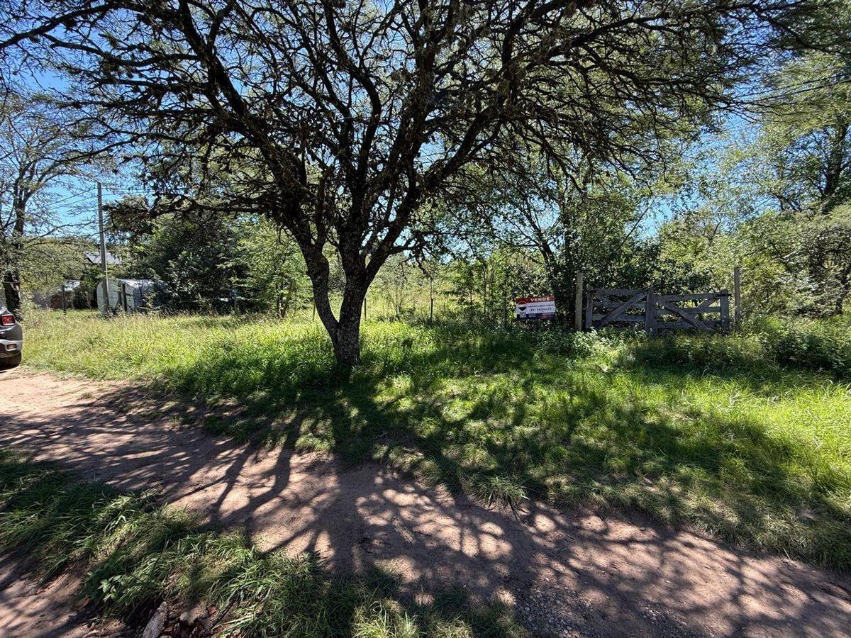 Foto de LOTE 303 M2 B° VILLA LA GLORIA VILLA GRAL BELGRANO, imagen 3