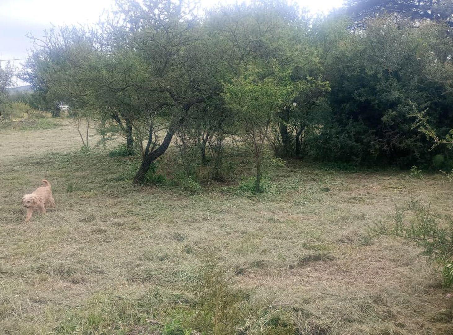 Foto de LOTE 480 M2 ANISACTE EXCELENTE UBICACION, imagen 5