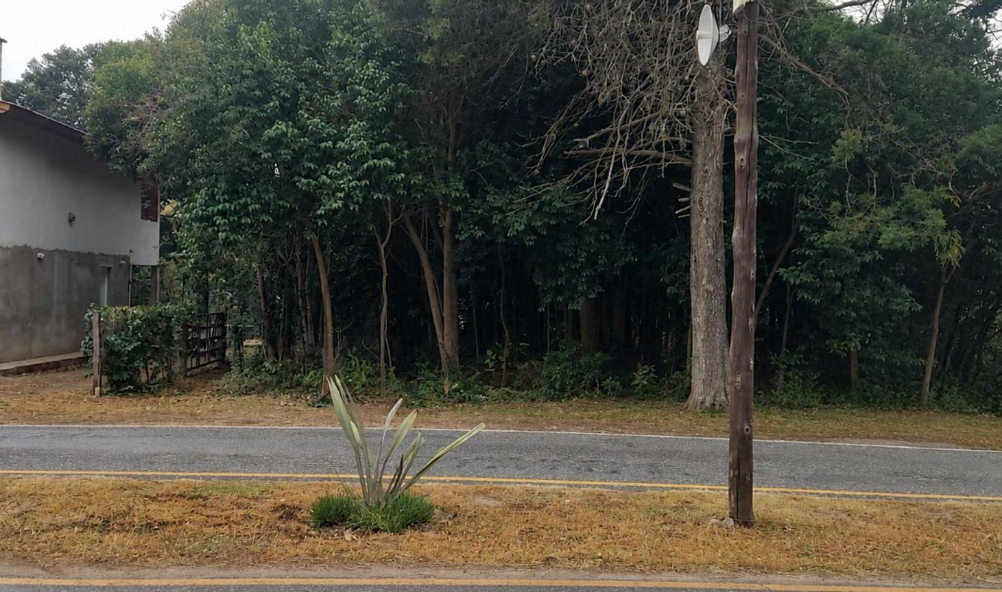 Foto de LOTE EN LOS REARTES EXCELENTE UBICACION, imagen 1