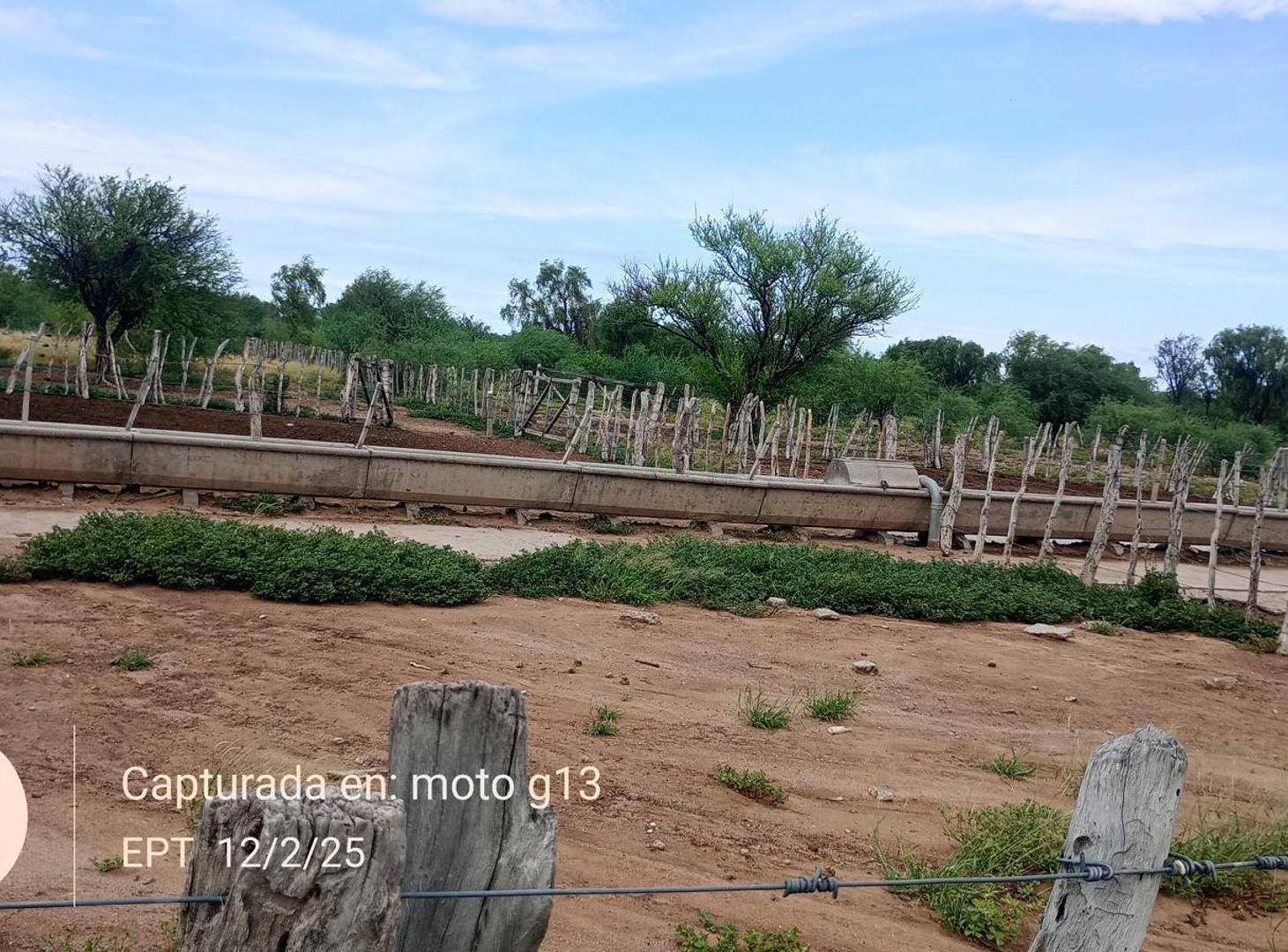 Foto de Venta Campo Ganadero 2183 hectáreas en Quilino, imagen 4