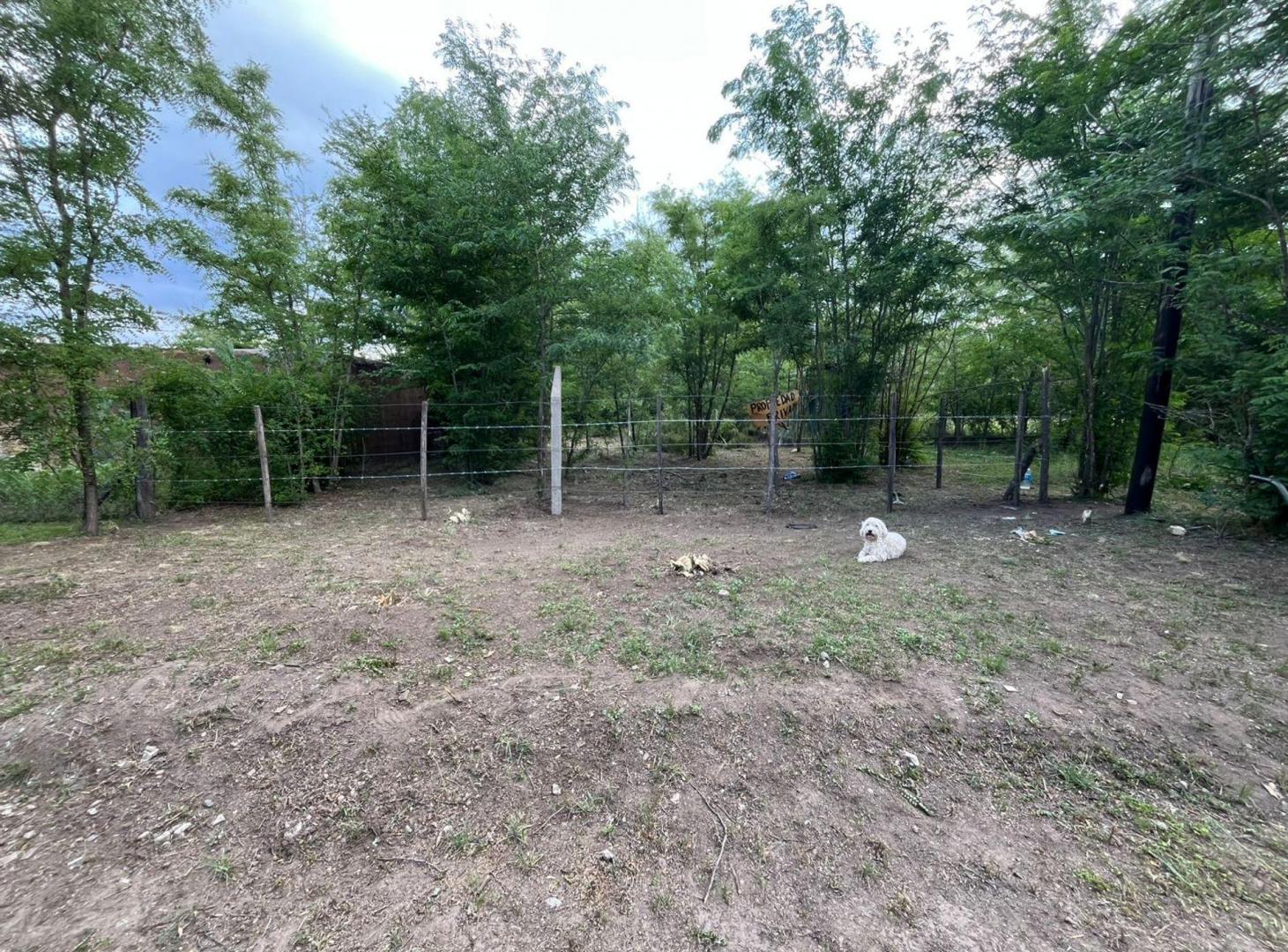 Foto de LOTE 400 M2 CON ESCRITURA VILLA ANISACATE, imagen 3