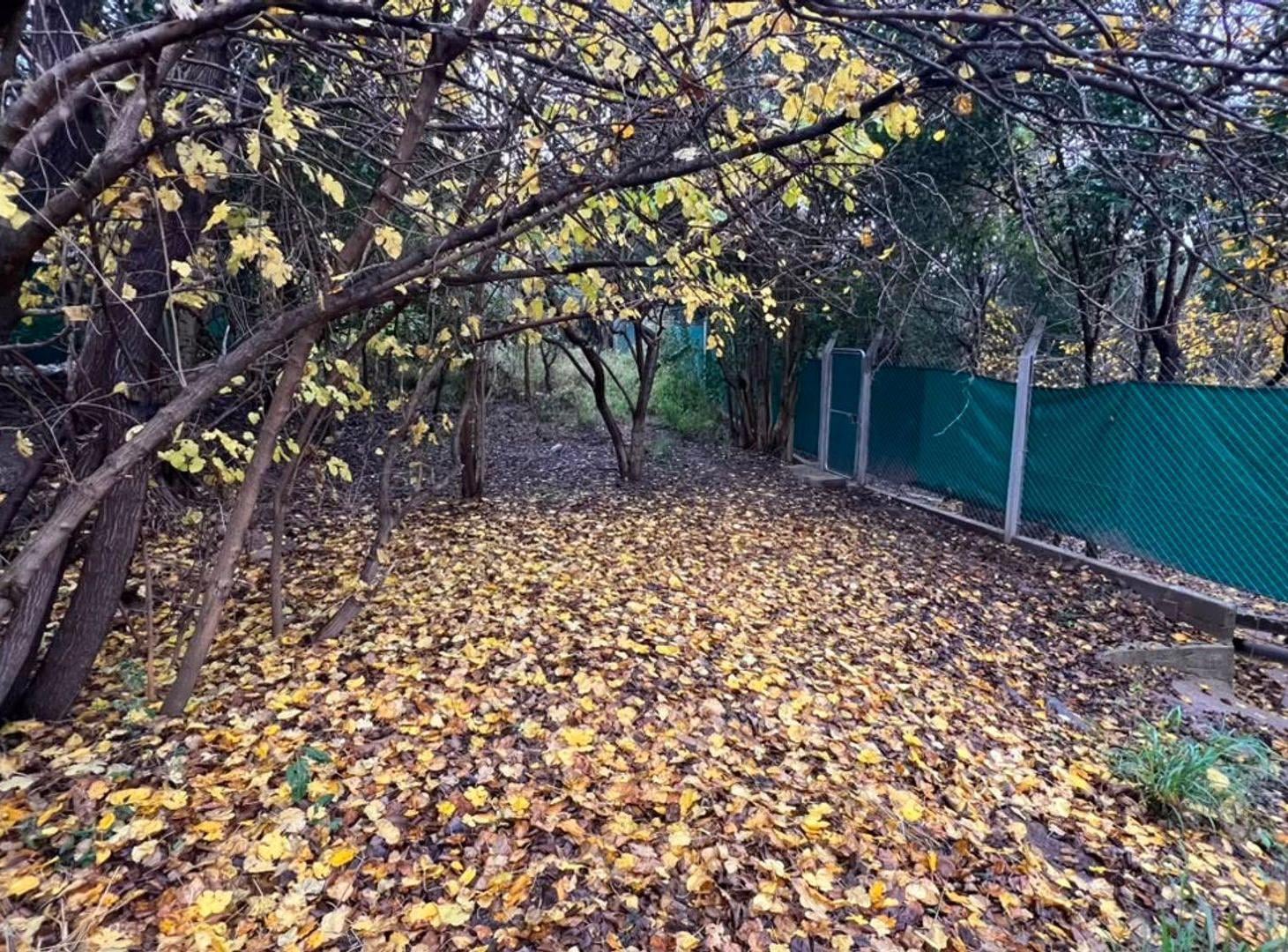 Foto de SE VENDE AMPLIO LOTE EN LA GRANJA, imagen 3