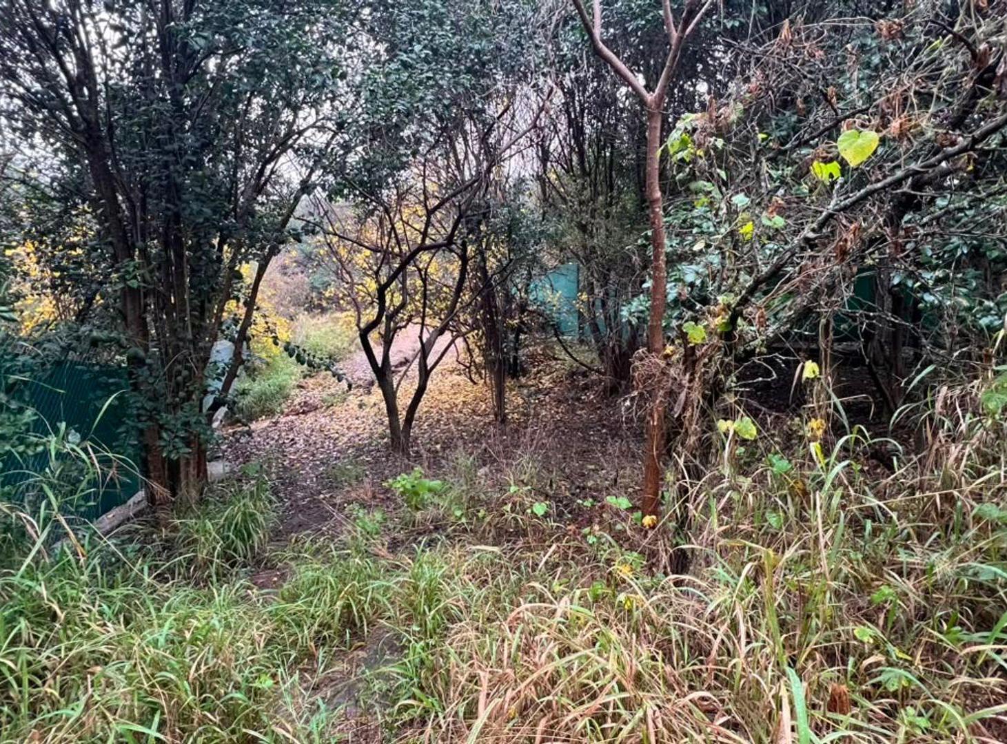 Foto de SE VENDE AMPLIO LOTE EN LA GRANJA, imagen 2