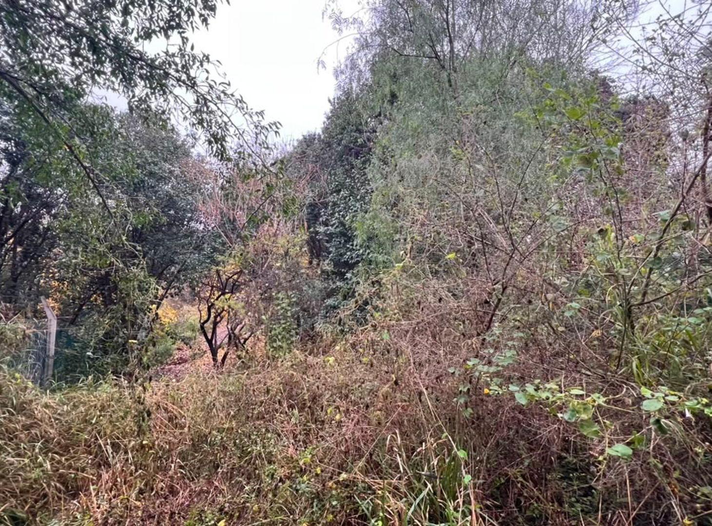Foto de SE VENDE AMPLIO LOTE EN LA GRANJA, imagen 1