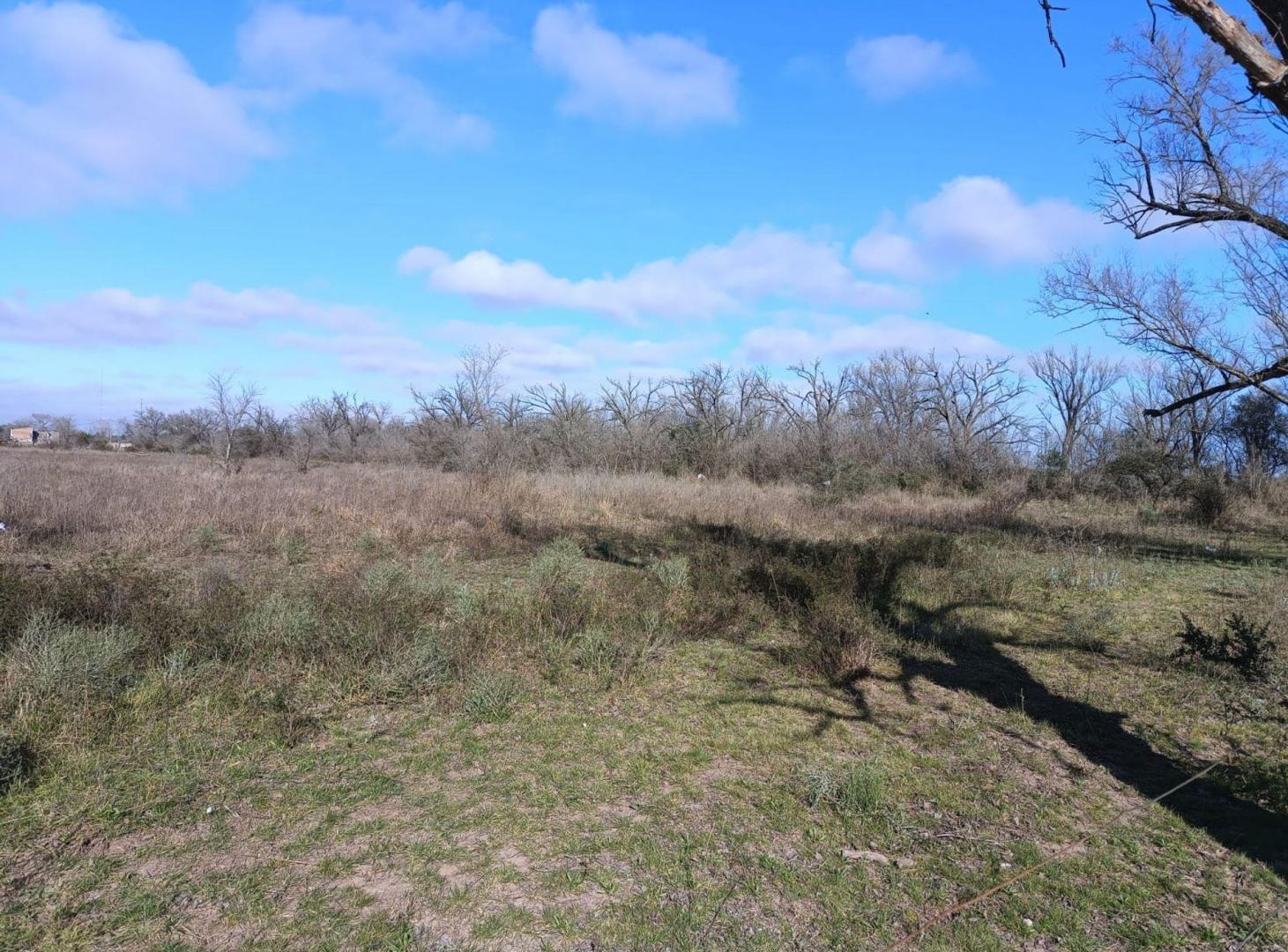 Foto de Lote Industrial 1ha Cno Quebrachal y Av Malvinas, imagen 4
