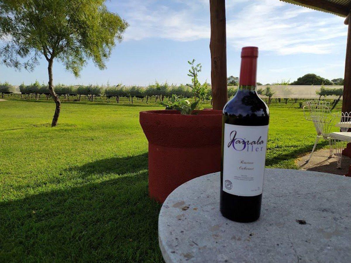 Foto de CASA BODEGA 866 M2 - VIÑEDO 11 HECTAREAS, imagen 3