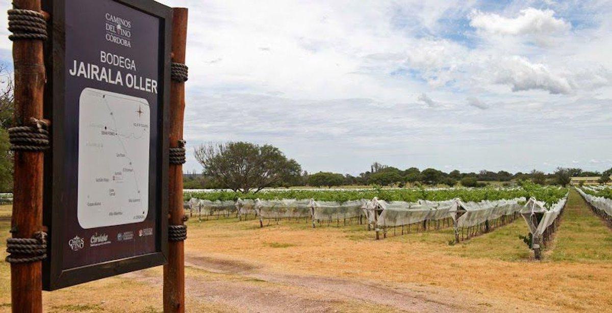Foto de CASA BODEGA 866 M2 - VIÑEDO 11 HECTAREAS, imagen 1