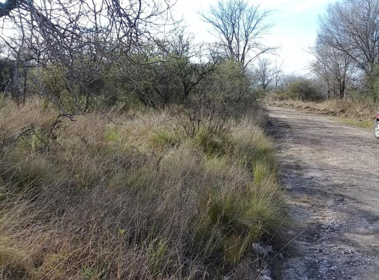 Foto de 40 HA VILLA QUILLINZO SANTA ROSA DE CALAMUCHITA, imagen 2