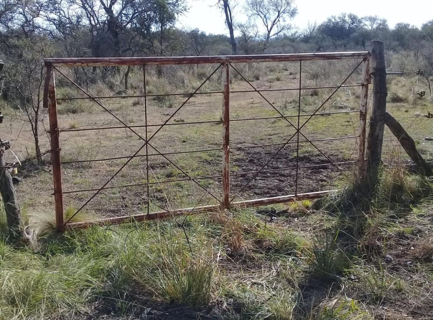 40 HA VILLA QUILLINZO SANTA ROSA DE CALAMUCHITA