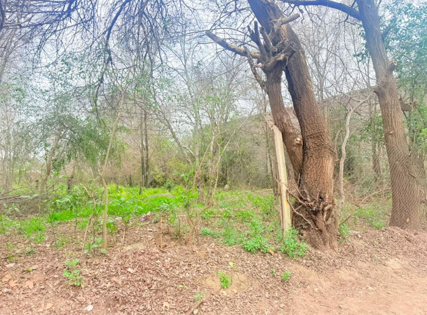 Foto de LOTE EN QUINTAS DE ARGUELLO 1528m2, imagen 2