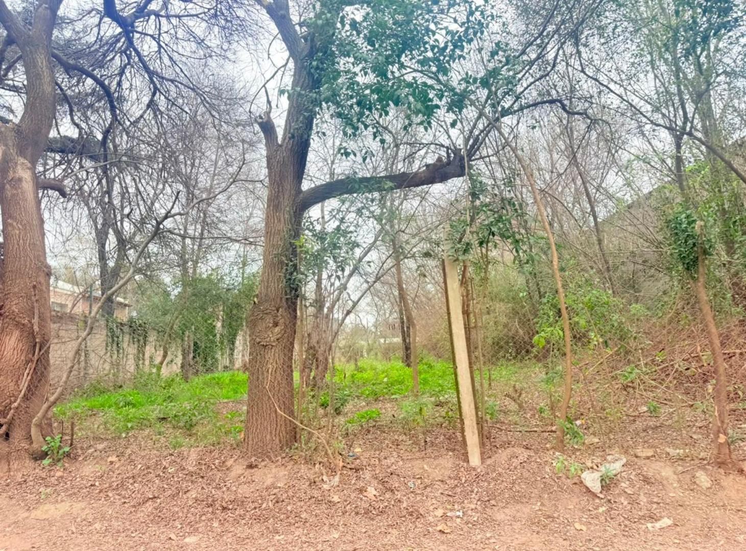 Foto de LOTE EN QUINTAS DE ARGUELLO 1528m2, imagen 3