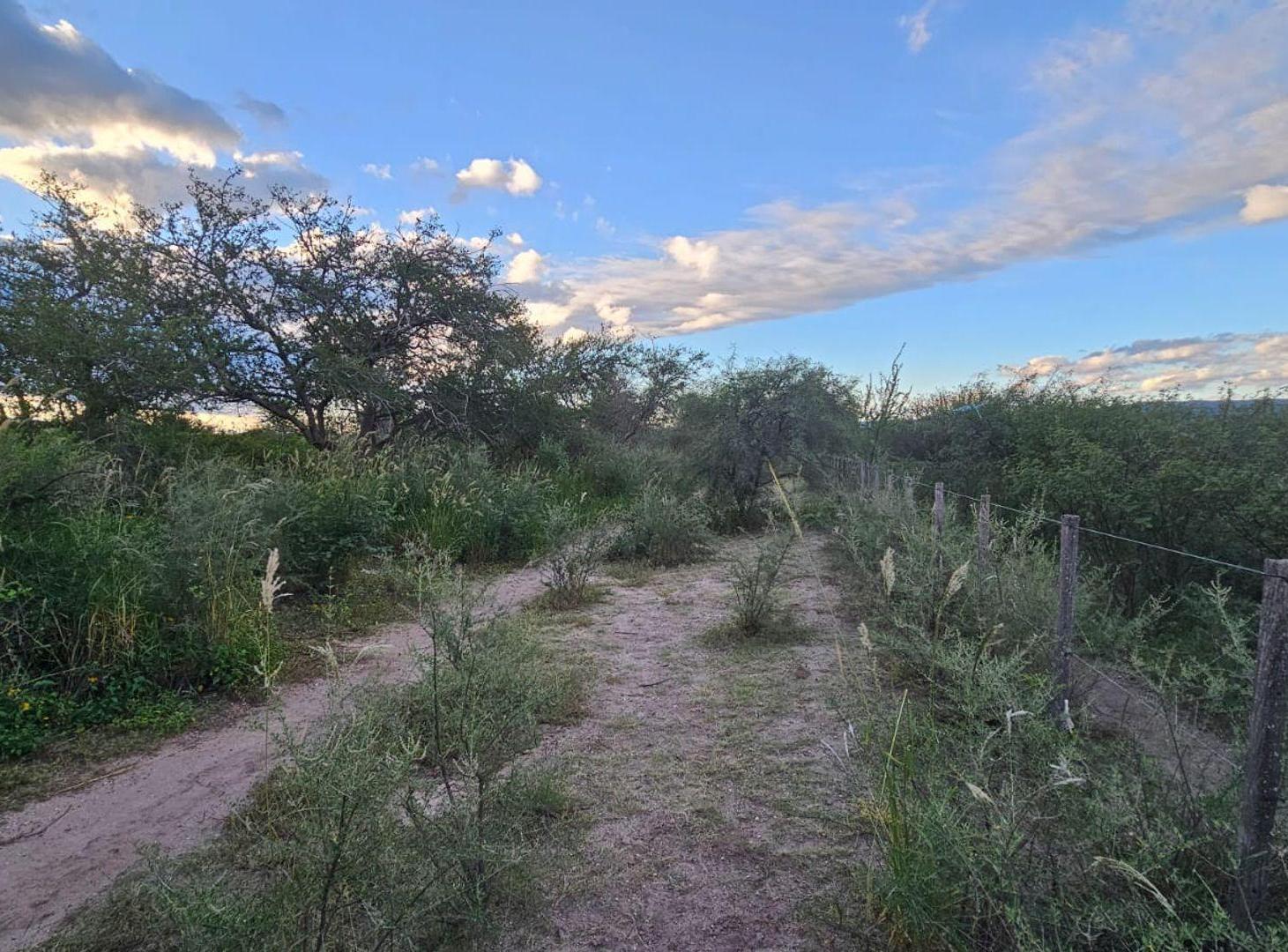 Foto de VENTA LOTE 14 HECTAREAS - VILLA DOLORES, imagen 5