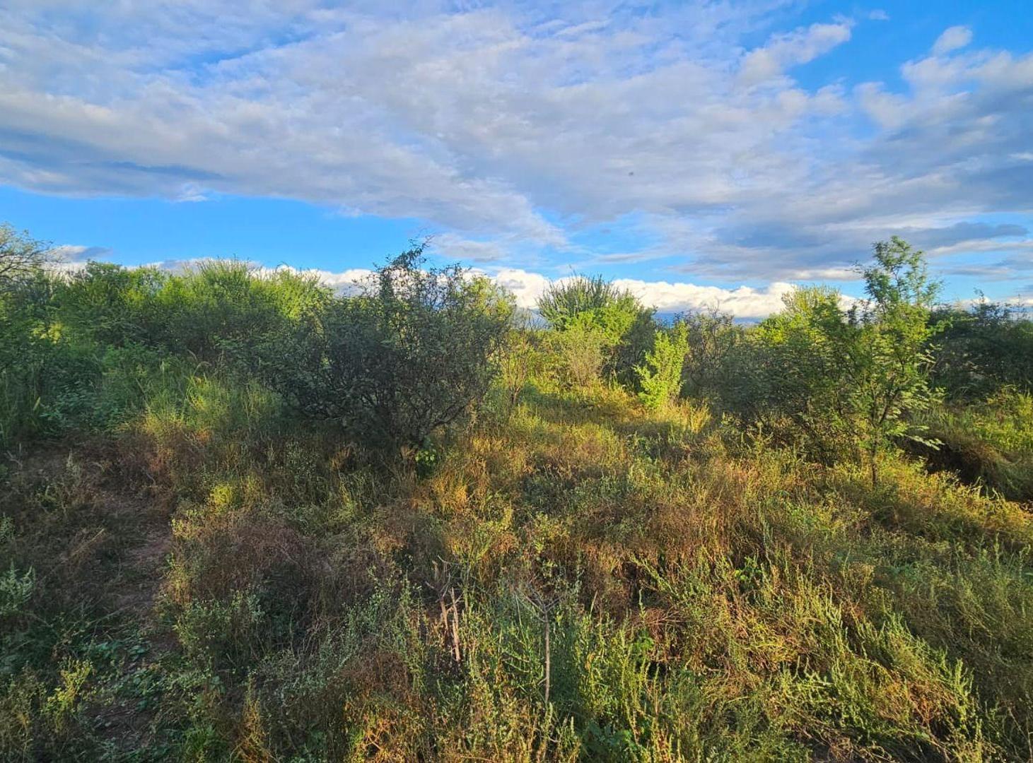 Foto de VENTA LOTE 14 HECTAREAS - VILLA DOLORES, imagen 4