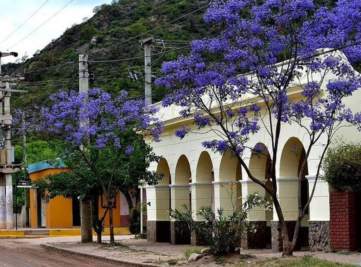 Foto de EXCLUSIVA PROPIEDAD HISTORICA, imagen 5