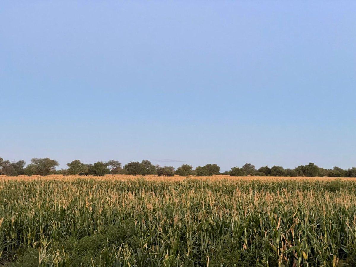Foto de CAMPO MIXTO 346 ha - RUTA NACIONAL 38 CRUZ DEL EJE, imagen 1