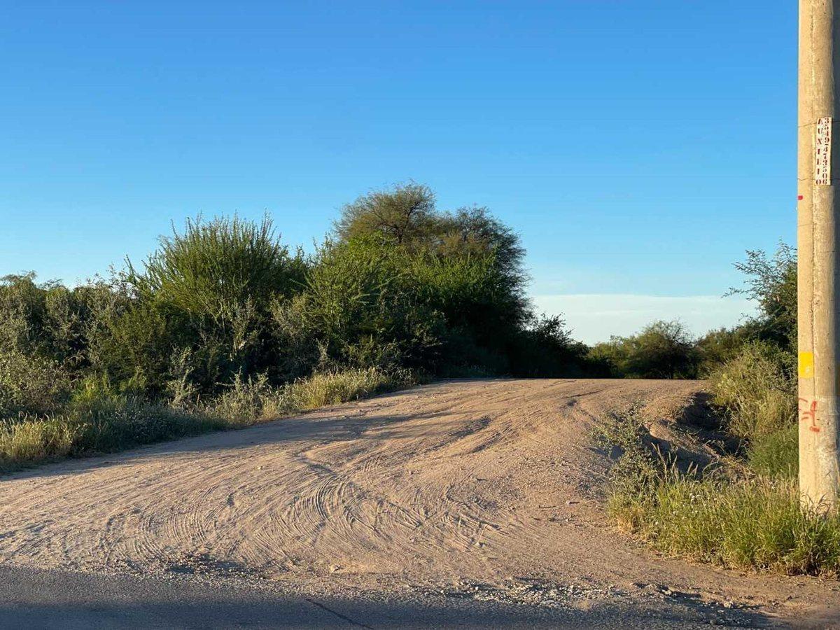 Foto de CAMPO MIXTO 346 ha - RUTA NACIONAL 38 CRUZ DEL EJE, imagen 4