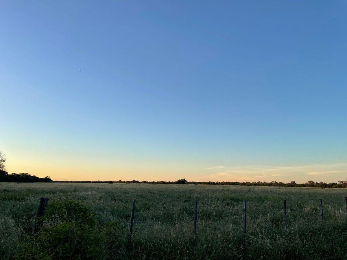 Foto de CAMPO MIXTO 346 ha - RUTA NACIONAL 38 CRUZ DEL EJE, imagen 5