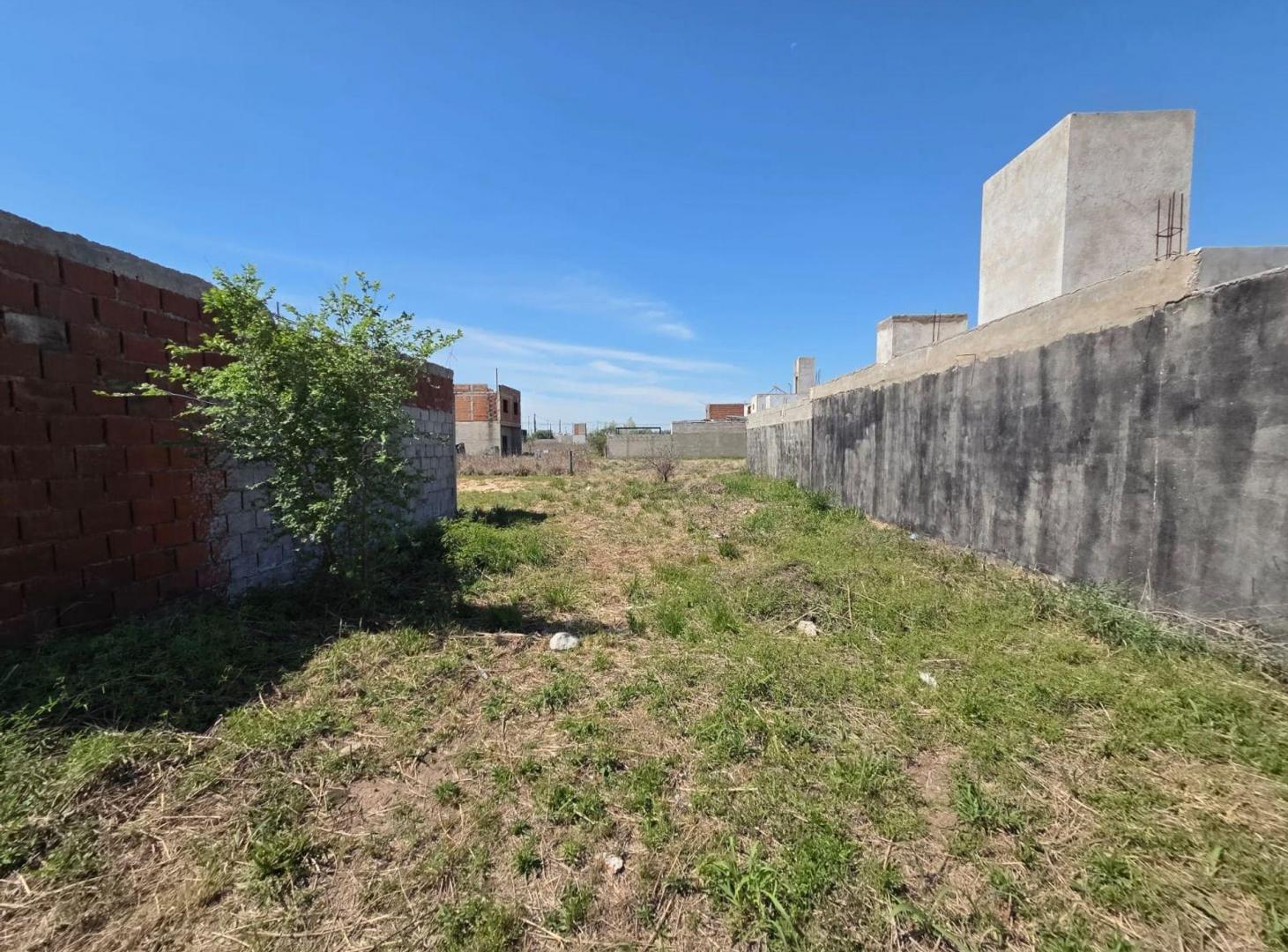 Foto de LOTE DE 175 M2 EN ARGUELLO NORTE BARRIO LOTENGO, imagen 4