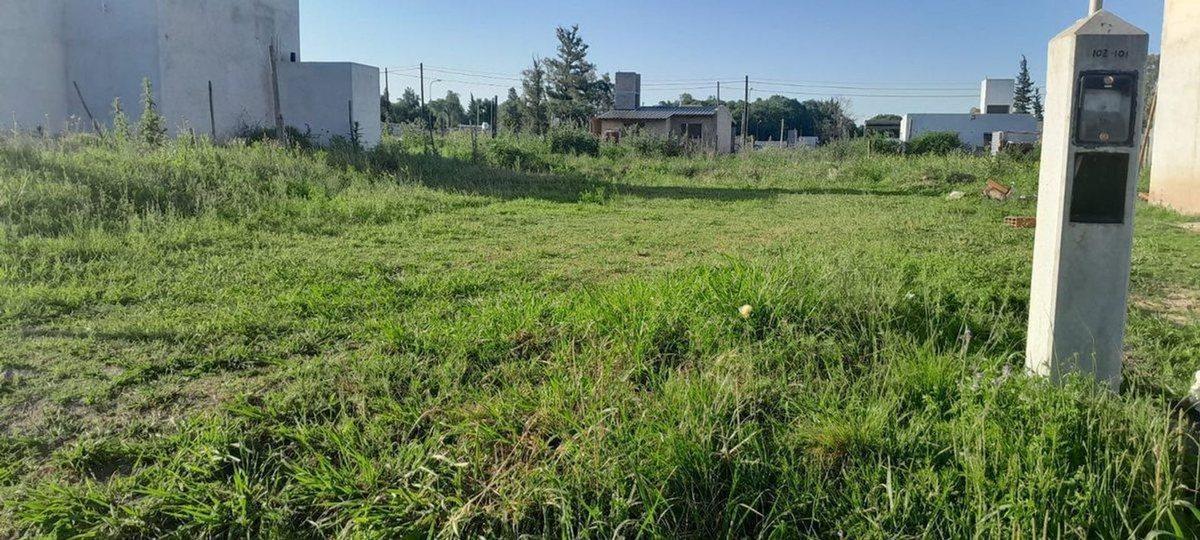 Foto de VENTA TERRENO PORTALES DEL TALA SE ESCUCHA OFERTA, imagen 5