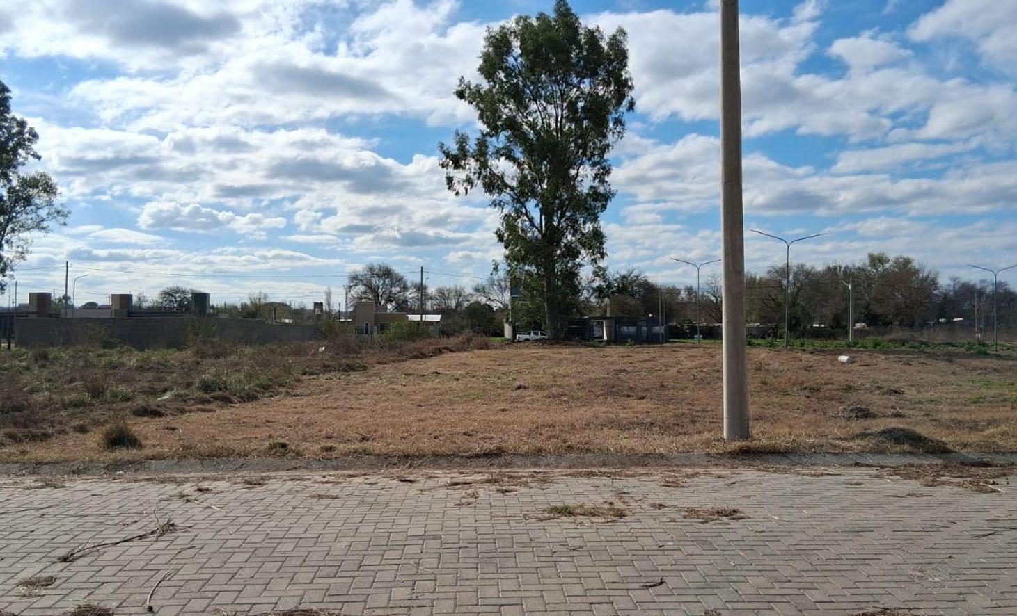 Foto de VENTA TERRENO PORTALES DEL TALA SE ESCUCHA OFERTA, imagen 1