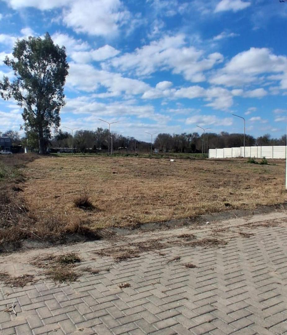 Foto de VENTA TERRENO PORTALES DEL TALA SE ESCUCHA OFERTA, imagen 3