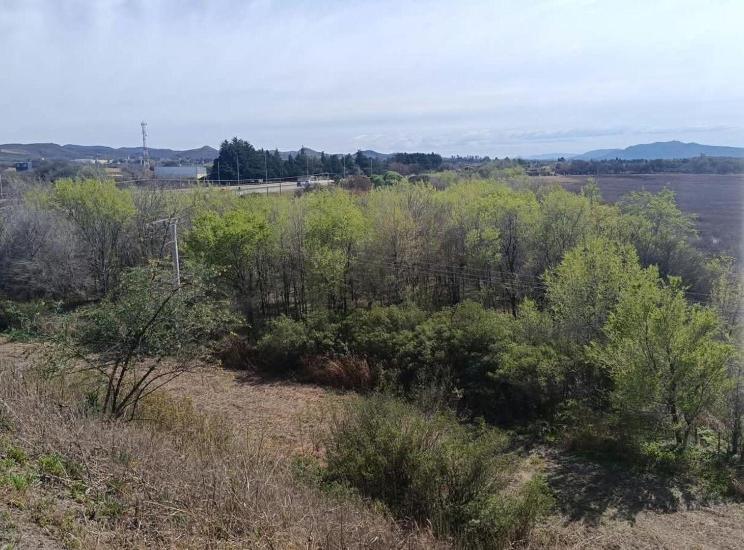 Foto de MACROLOTE 10,5 HA | RUTA C-45 | U$S 90.000 POR HA, imagen 1