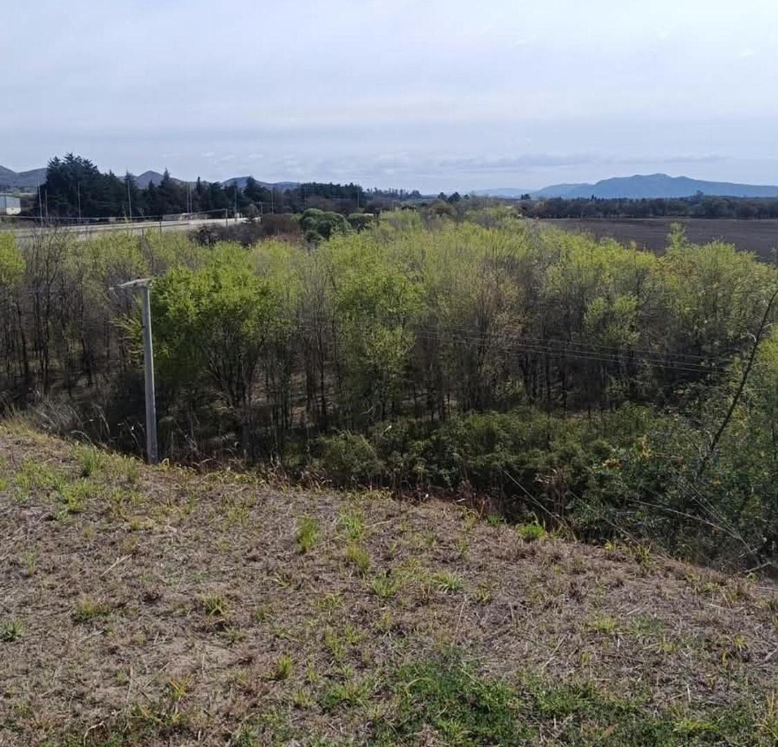 Foto de MACROLOTE 10,5 HA | RUTA C-45 | U$S 90.000 POR HA, imagen 4
