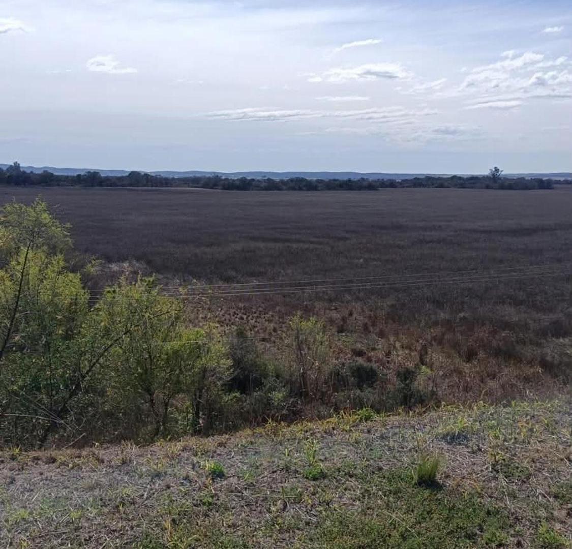 Foto de MACROLOTE 10,5 HA | RUTA C-45 | U$S 90.000 POR HA, imagen 3