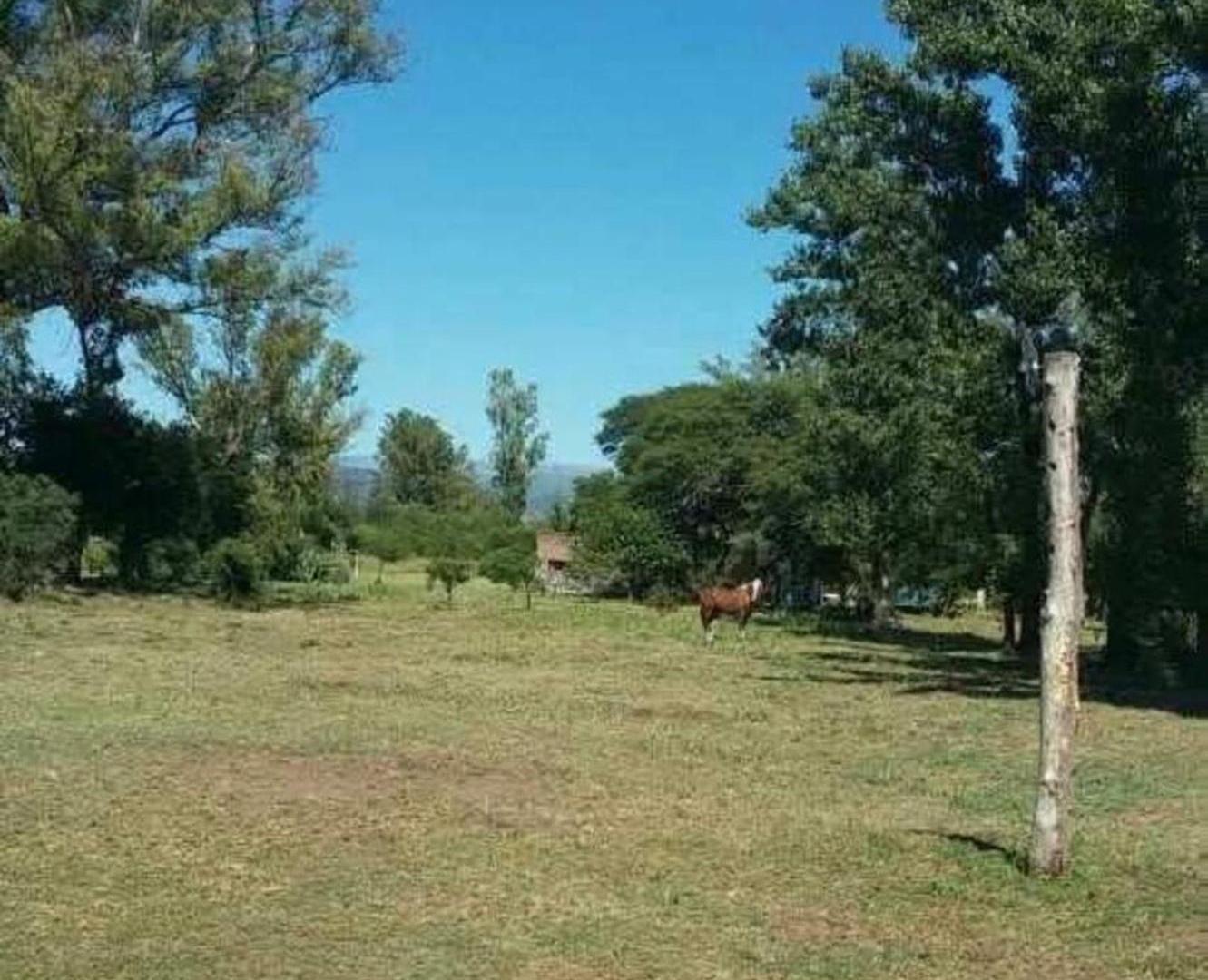 Foto de LOTE OPORTUNIDAD ANISACATE CORDOBA, imagen 5