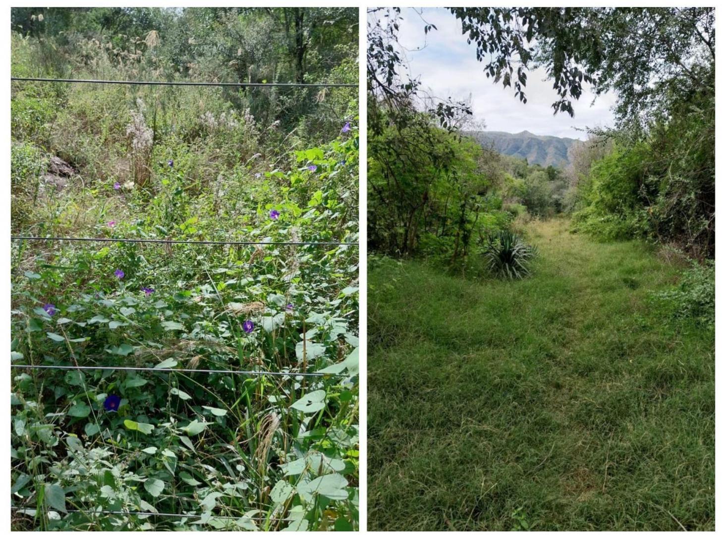 Foto de Venta lote 2435 m2 Mirador del Lago Bialet Masse, imagen 1