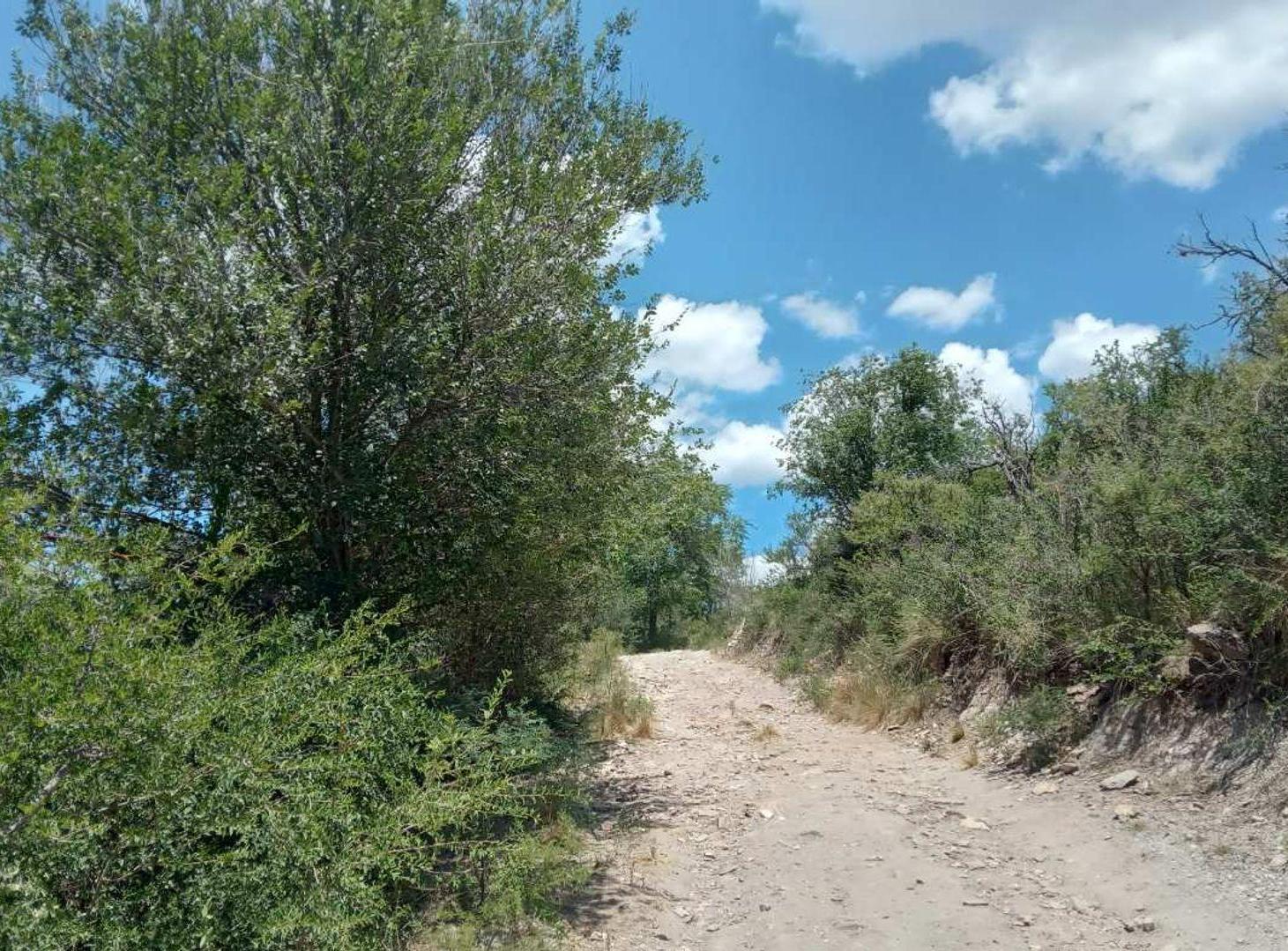 Foto de Venta Lote 22.563 m2 San Esteban - Vista Sierras, imagen 2