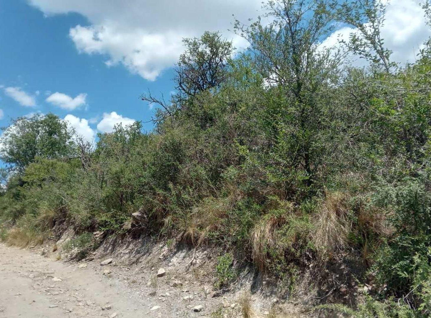 Foto de Venta Lote 22.563 m2 San Esteban - Vista Sierras, imagen 3