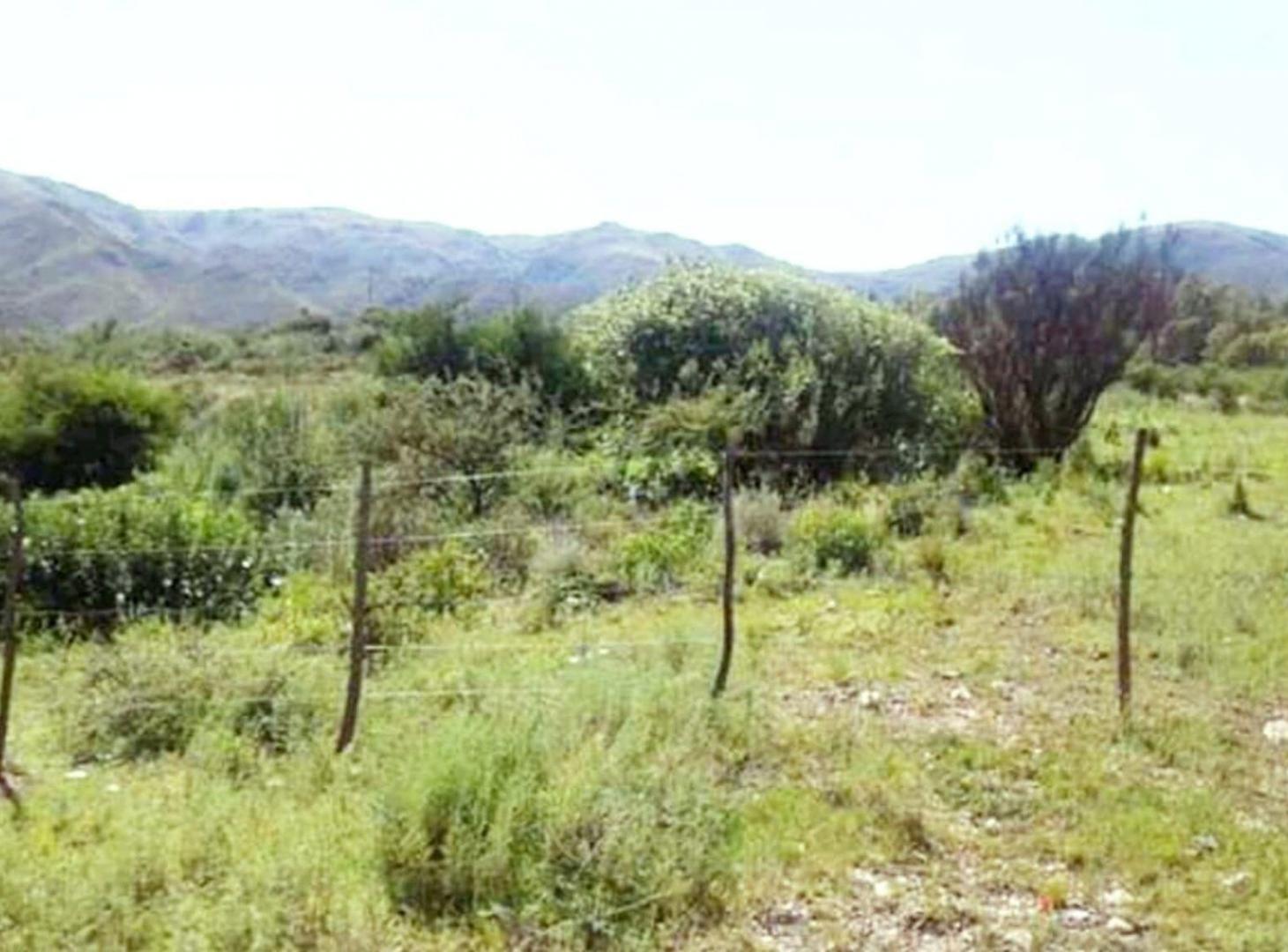 Foto de OPORTUNIDAD Lote Huerta Grande Córdoba 3400m2, imagen 5