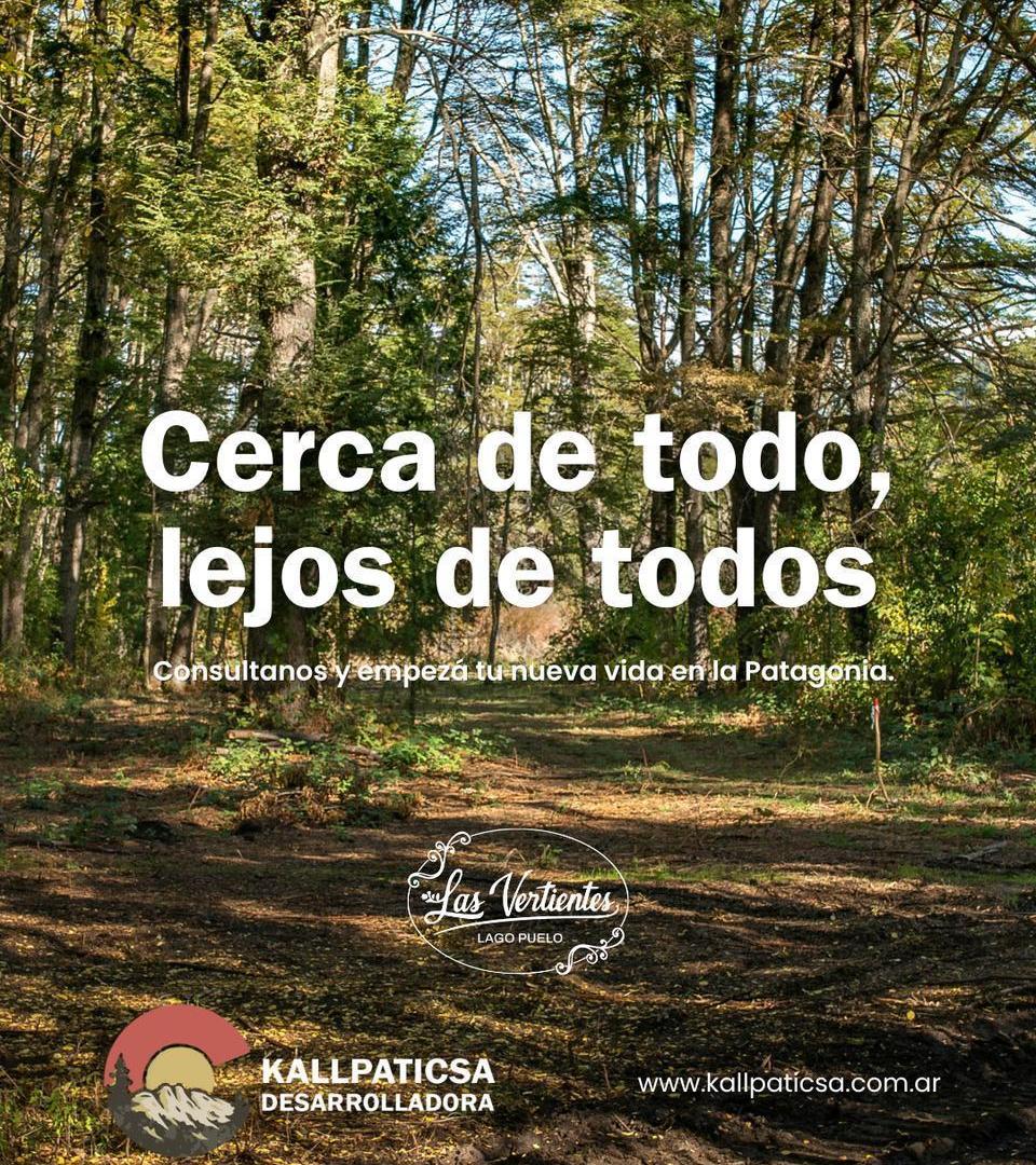 Foto de Terreno en Lago Puelo, imagen 5