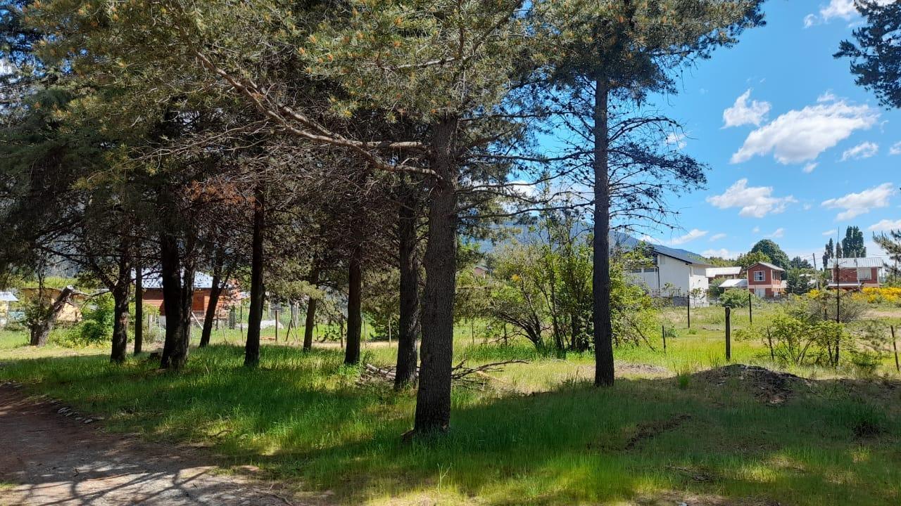 Foto de Loteo El Bagual camino al Lago, imagen 1