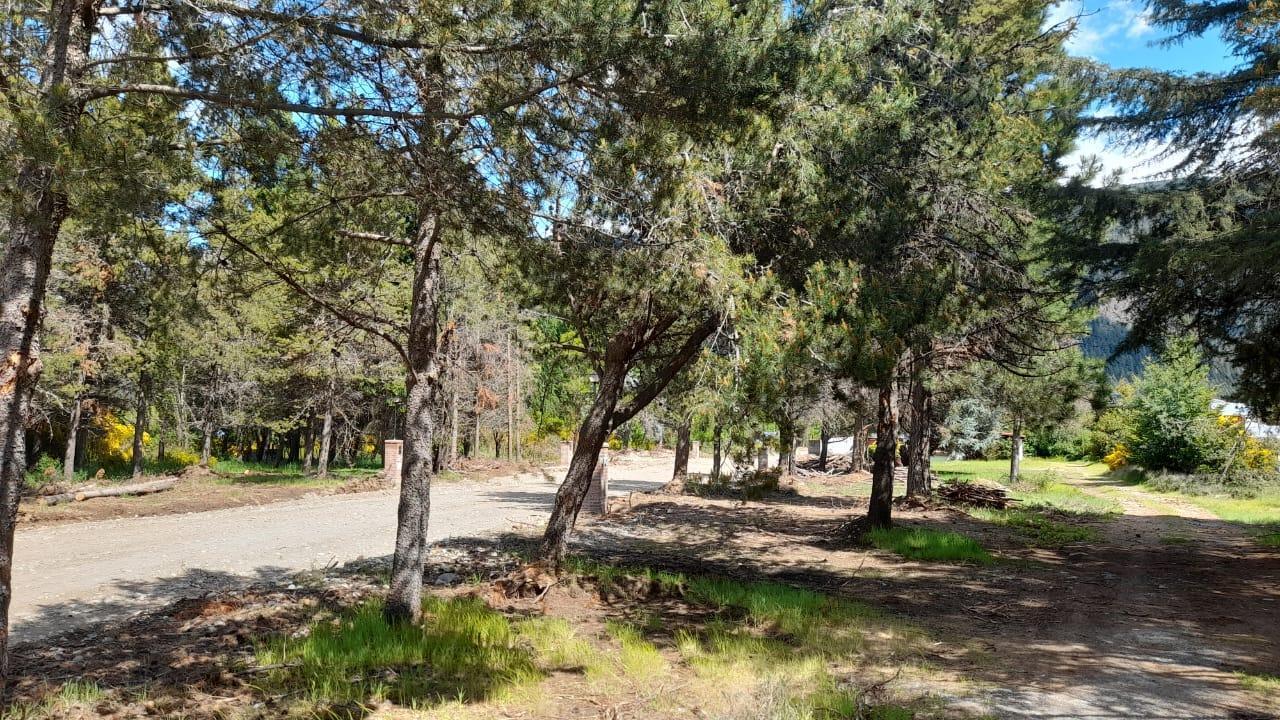 Foto de Loteo El Bagual camino al Lago, imagen 3