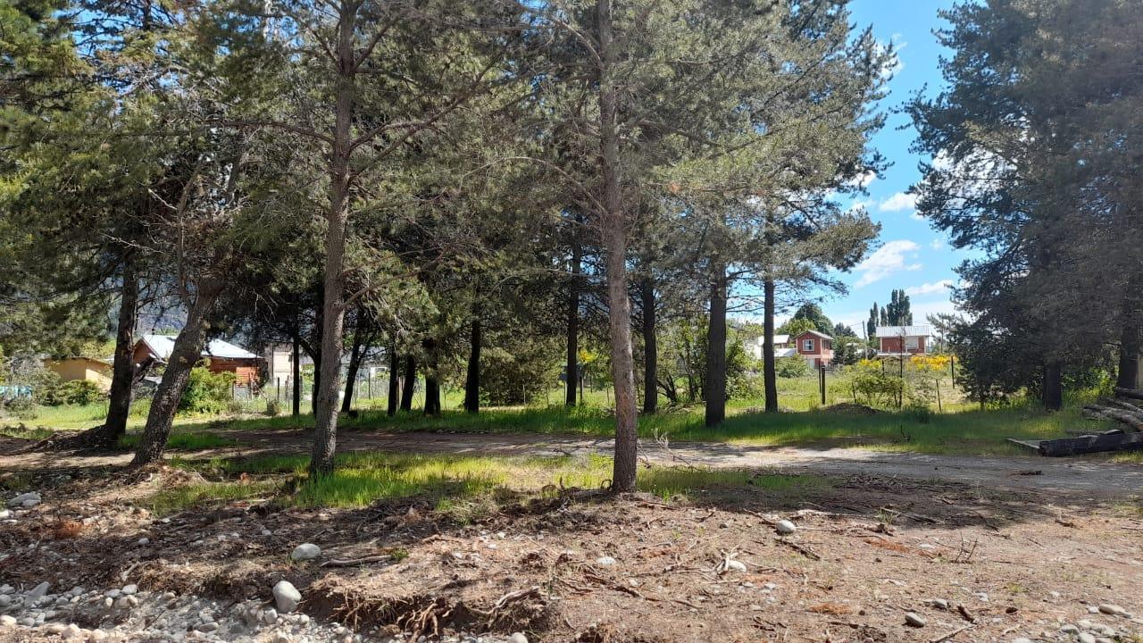Foto de Loteo El Bagual camino al Lago, imagen 5
